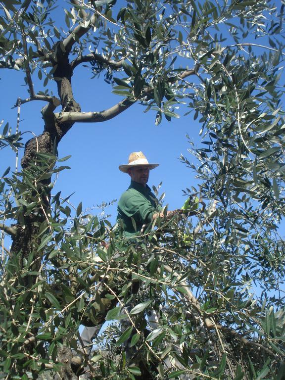 Podere Delle Fanciulle Пістоя Екстер'єр фото