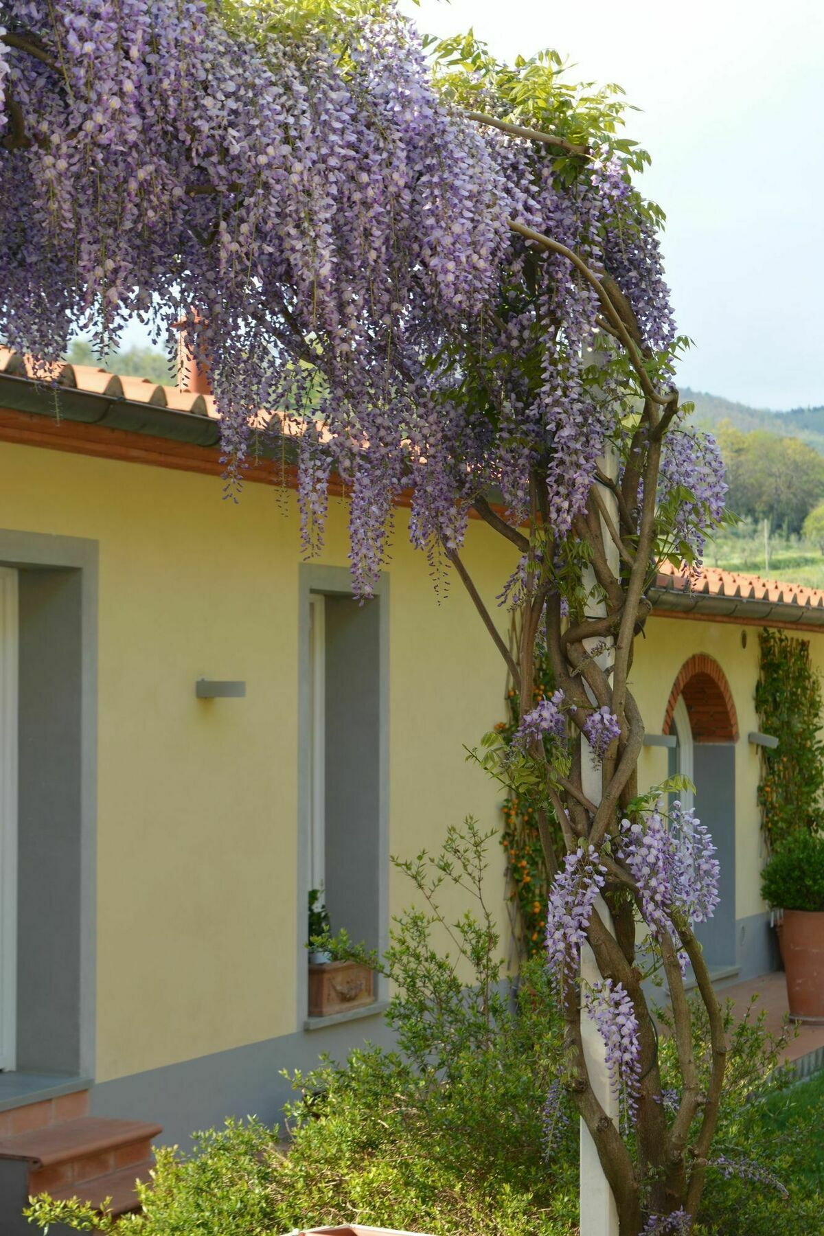 Podere Delle Fanciulle Пістоя Екстер'єр фото