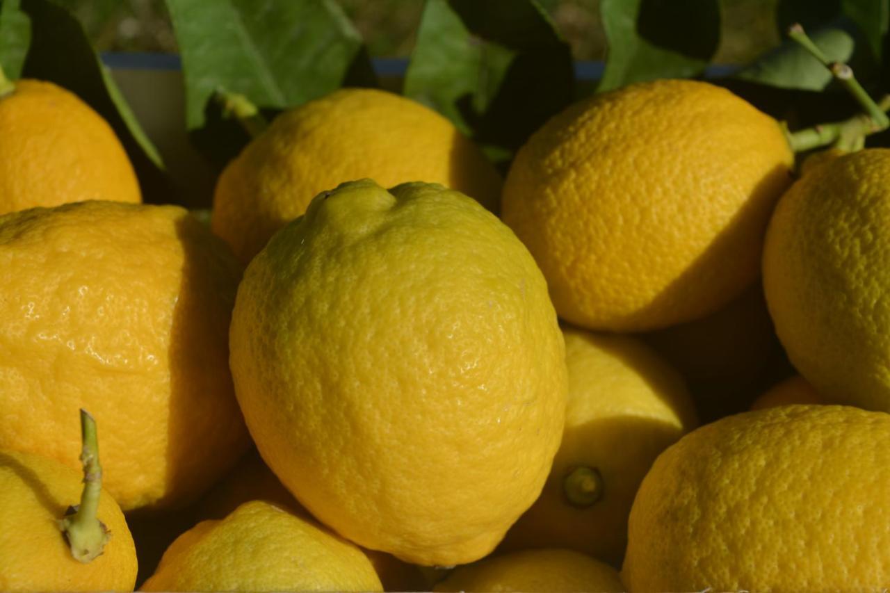 Podere Delle Fanciulle Пістоя Екстер'єр фото