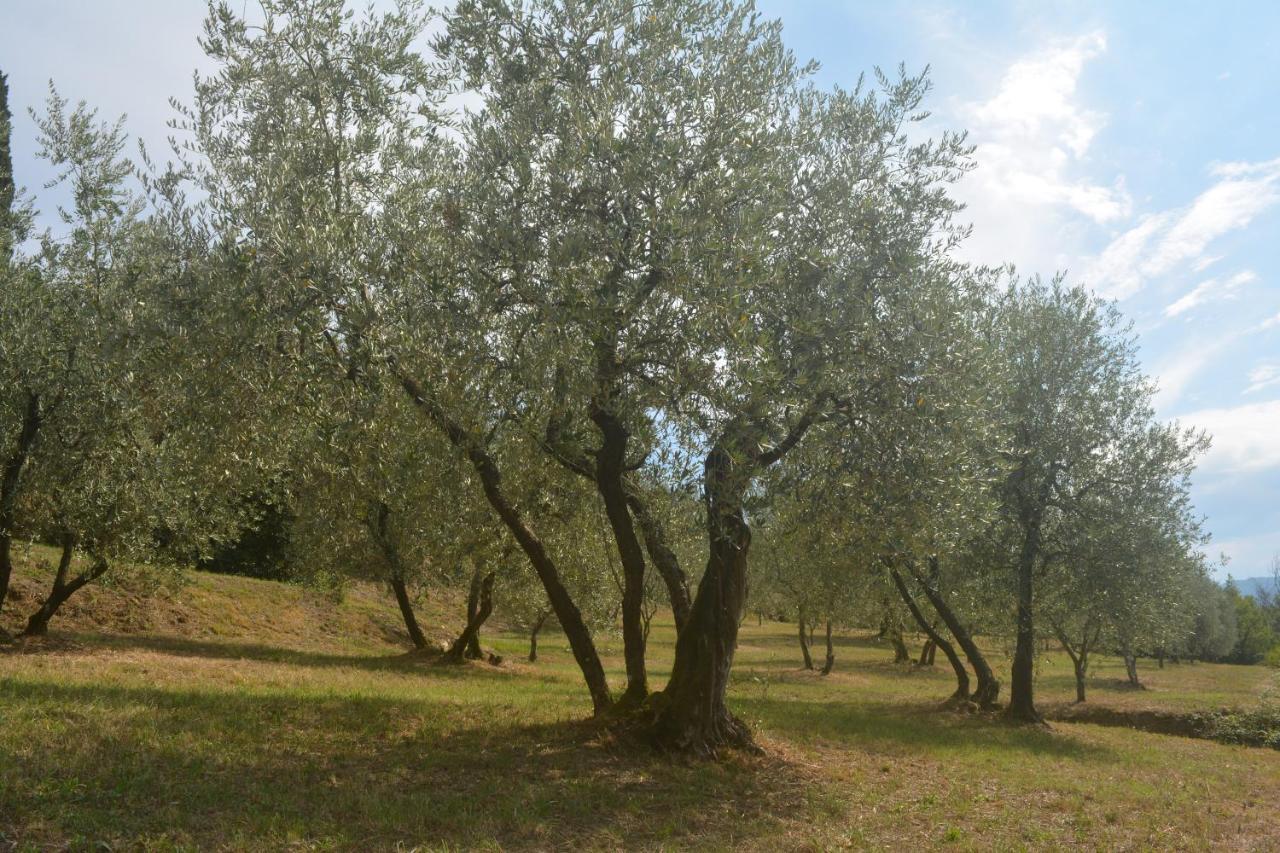 Podere Delle Fanciulle Пістоя Екстер'єр фото